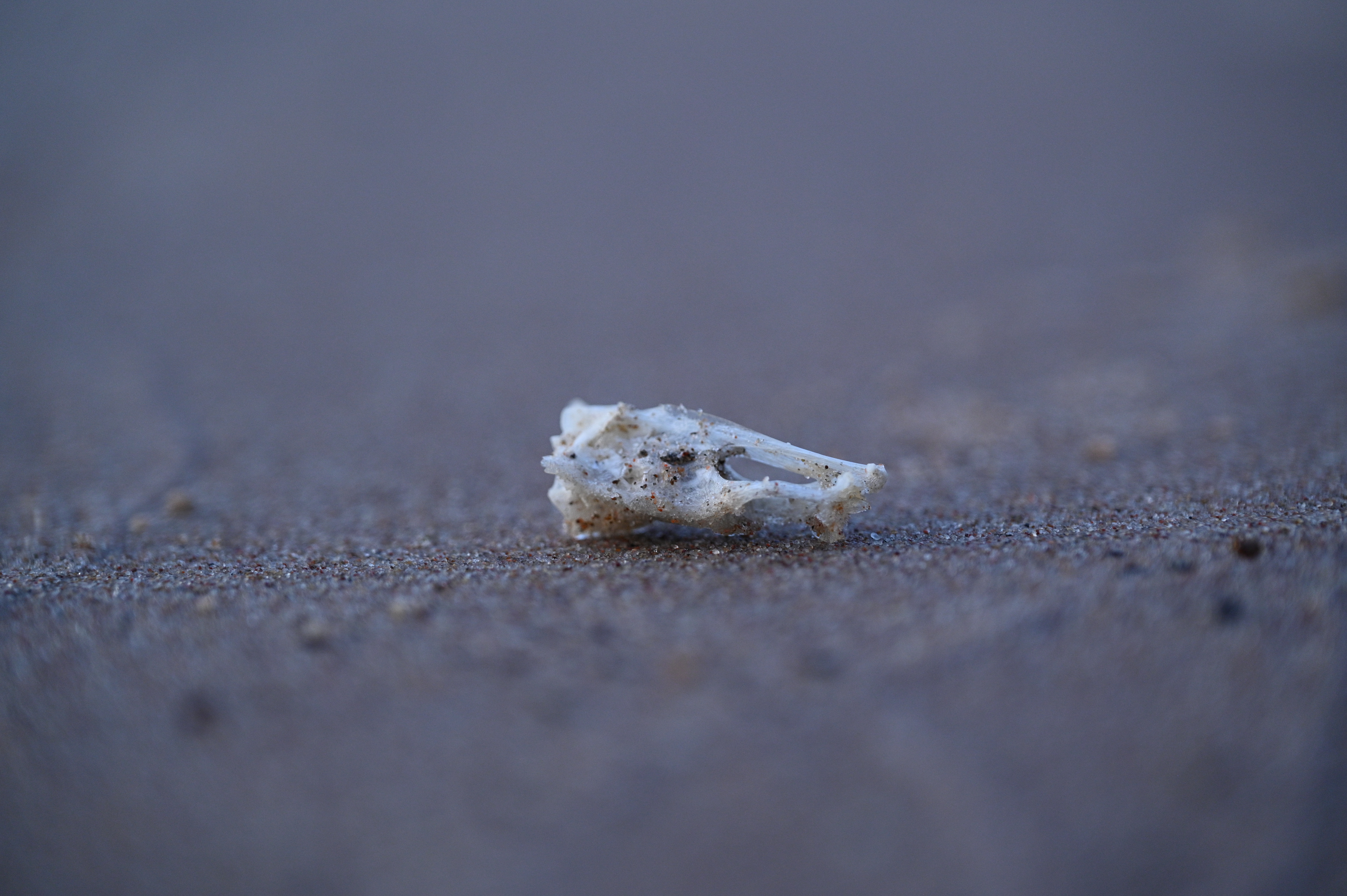 2025/07/09-14 - trip/DSC_0637.JPG